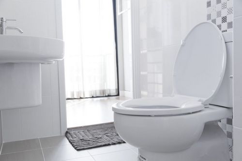 Clogged-Toilet-Issaquah-WA