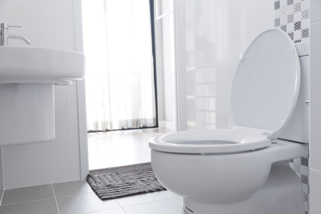 Toilet-Repair-Kirkland-WA