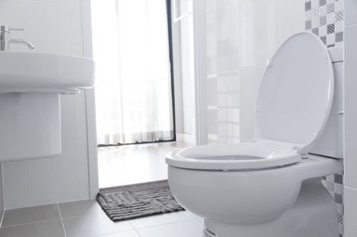 Toilet-Repair-North-Bend-WA