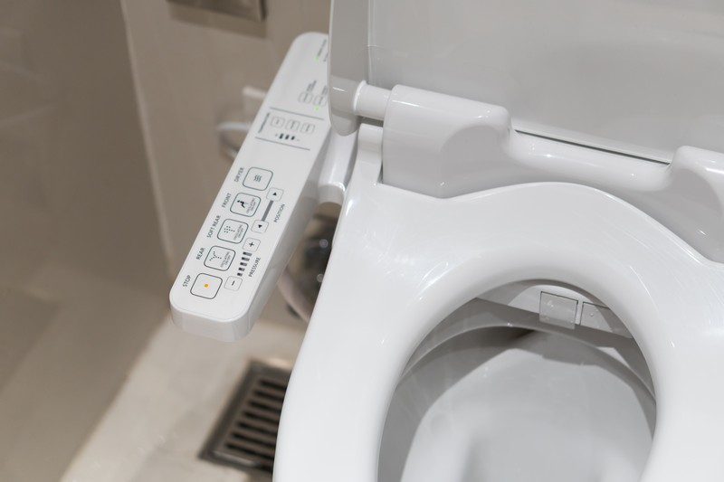 Bidet-Install-Alderwood-WA