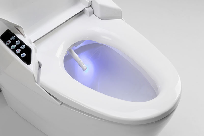 Bidet-Install-King-County-WA