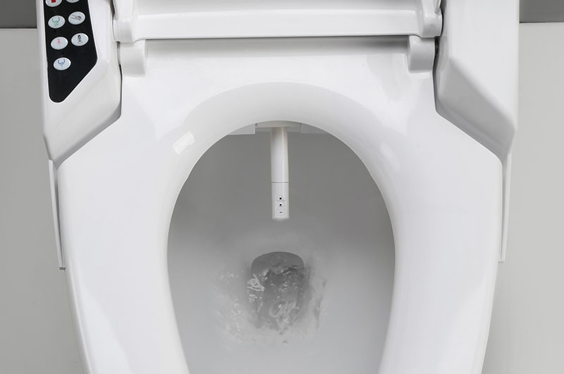 Bidet-Install-Lake-Tapps-WA