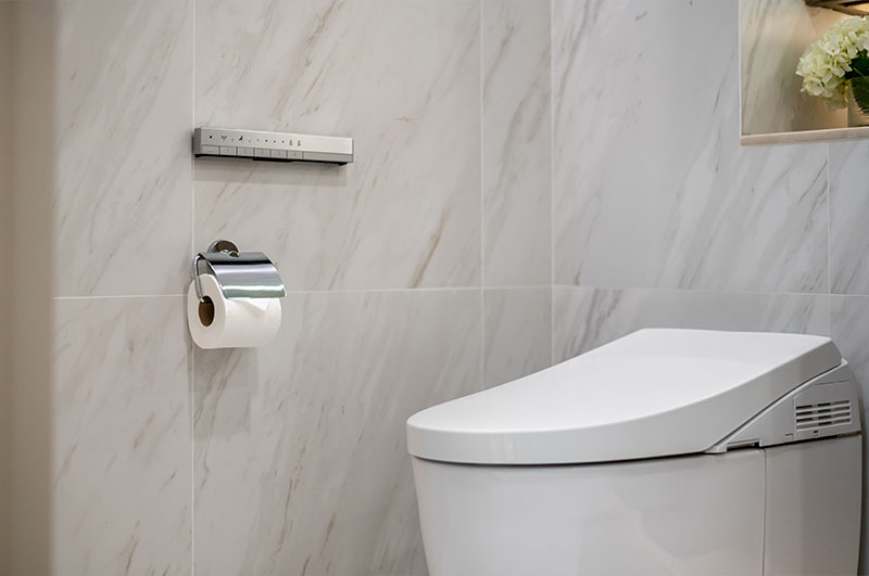 Bidet-Install-Lynnwood-WA