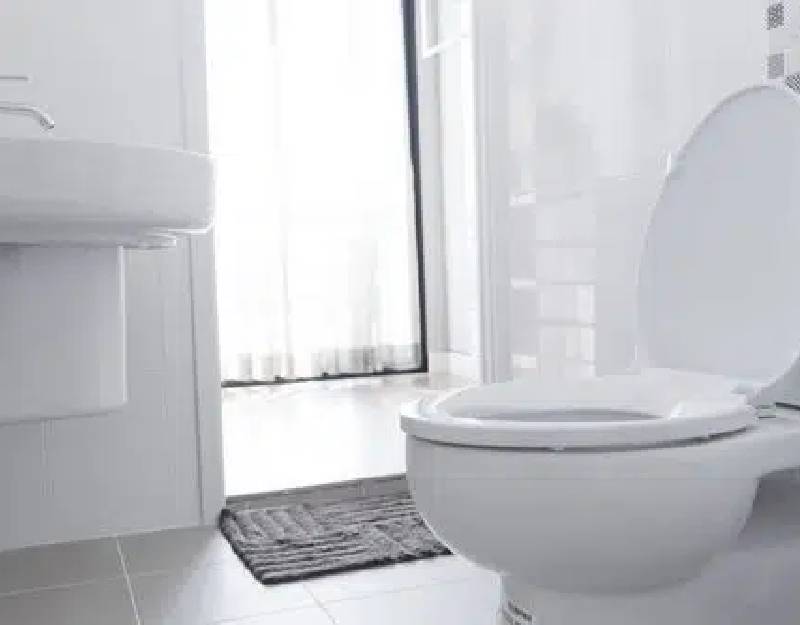 Enumclaw-Toilet-Backup