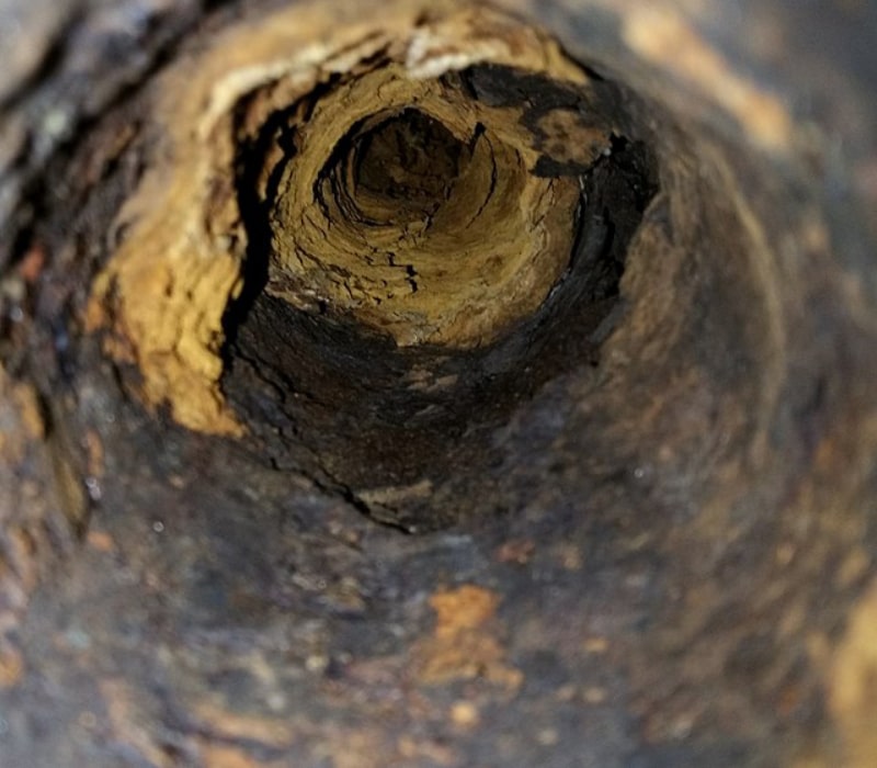 Frederickson-Sewer-Line-Issues
