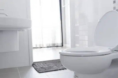 Renton Toilet Replacement