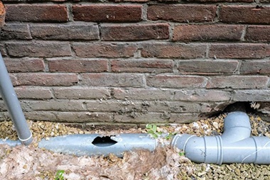Auburn Sewer Root Issue