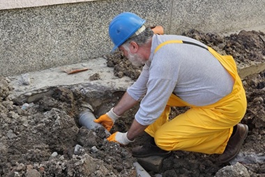 Kent Sewer Root Issue