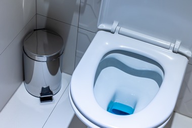 Auburn Fix Running Toilet