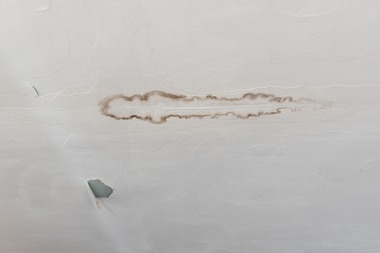 Bellevue Plumbing Leaks