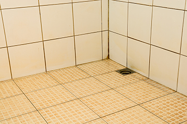 Smelly-Shower-Drain-Tacoma