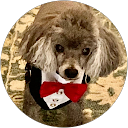 LuAnn Mitchell profile picture