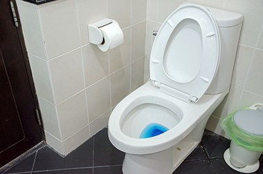 Toilet-Repairs-Tacoma