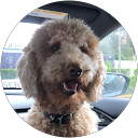 Richard Holmes profile picture