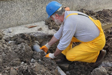 Seattle Sewer Root Issues