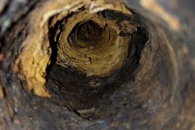 Seattle Sewer Scoping Appointment