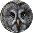 Itai Jeffries profile picture