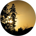 Emily Scott profile picture