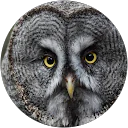 Itai Jeffries profile picture